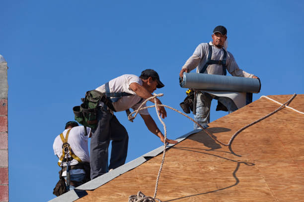 Best Storm Damage Roof Repair  in Dassel, MN