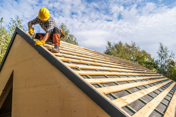 Professional Roofing Contractor in Dassel, MN